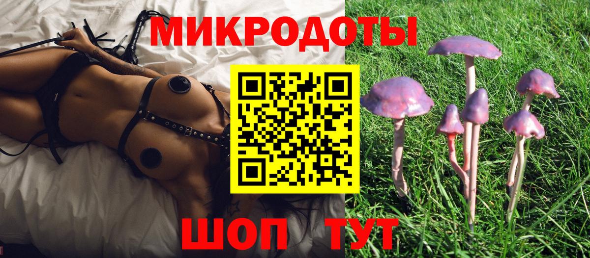 Псилоцибиновые грибы прущие грибы Лысьва